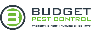 budget-pest-logo